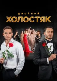 Холостяк (2013)